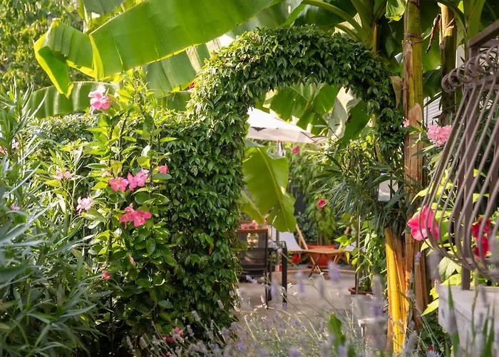 Deluxe Perla * Poreč