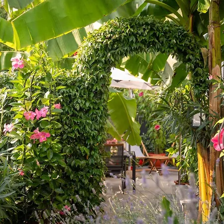 Deluxe Perla * Poreč