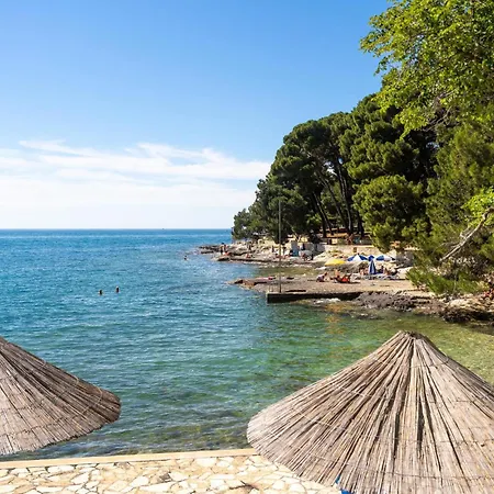 Deluxe Perla Tatil Evi *