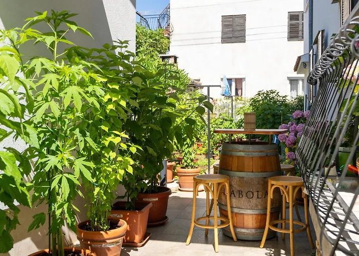 Deluxe Perla 펜션 *